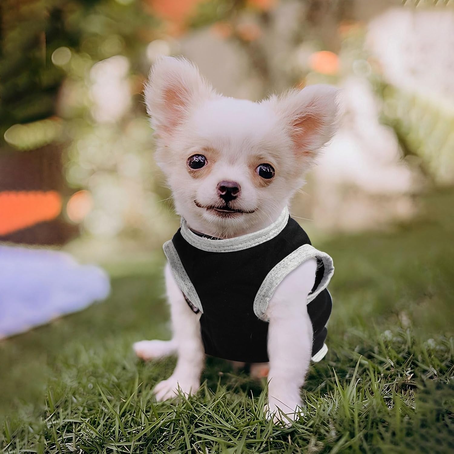 Small Dog Shirts — Cute Puppy Clothes for Chihuahua, Yorkie & Small Breeds | 4-Pack