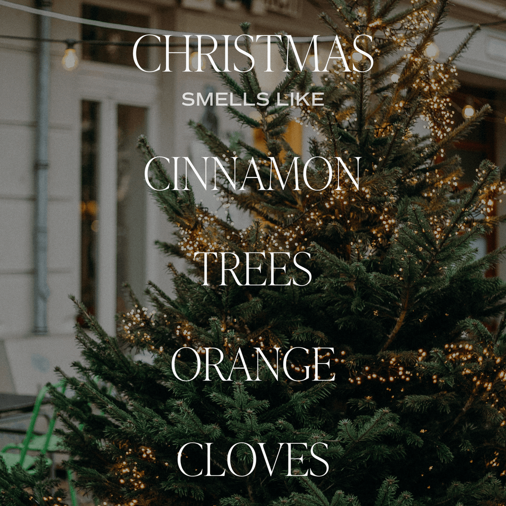 Christmas Candle Gift Box Set (Christmas, Warm and Cozy, Fraser Fir)