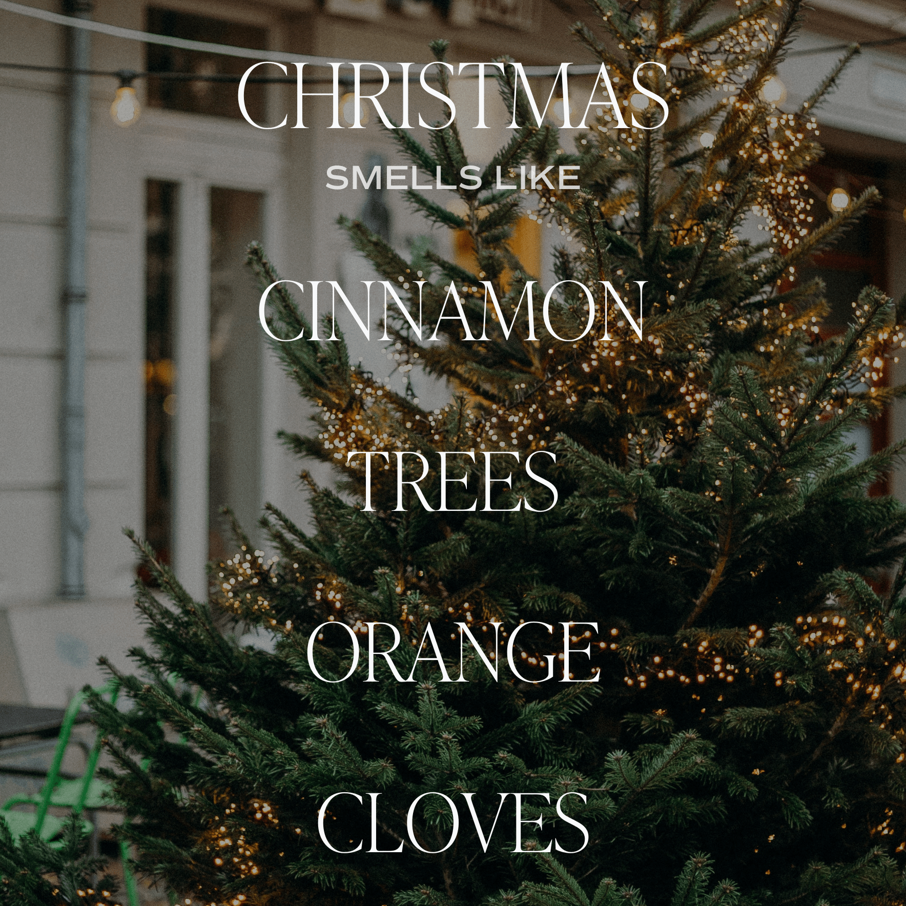 Christmas Candle Gift Box Set (Christmas, Warm and Cozy, Fraser Fir)