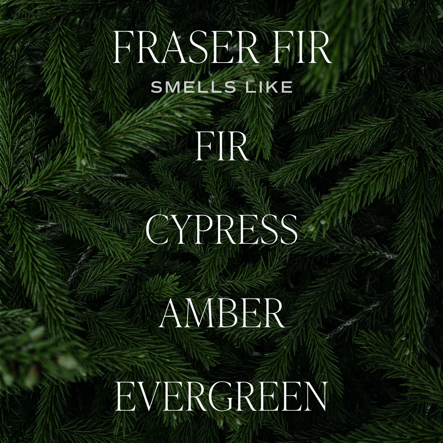 Christmas Candle Gift Box Set (Christmas, Warm and Cozy, Fraser Fir)