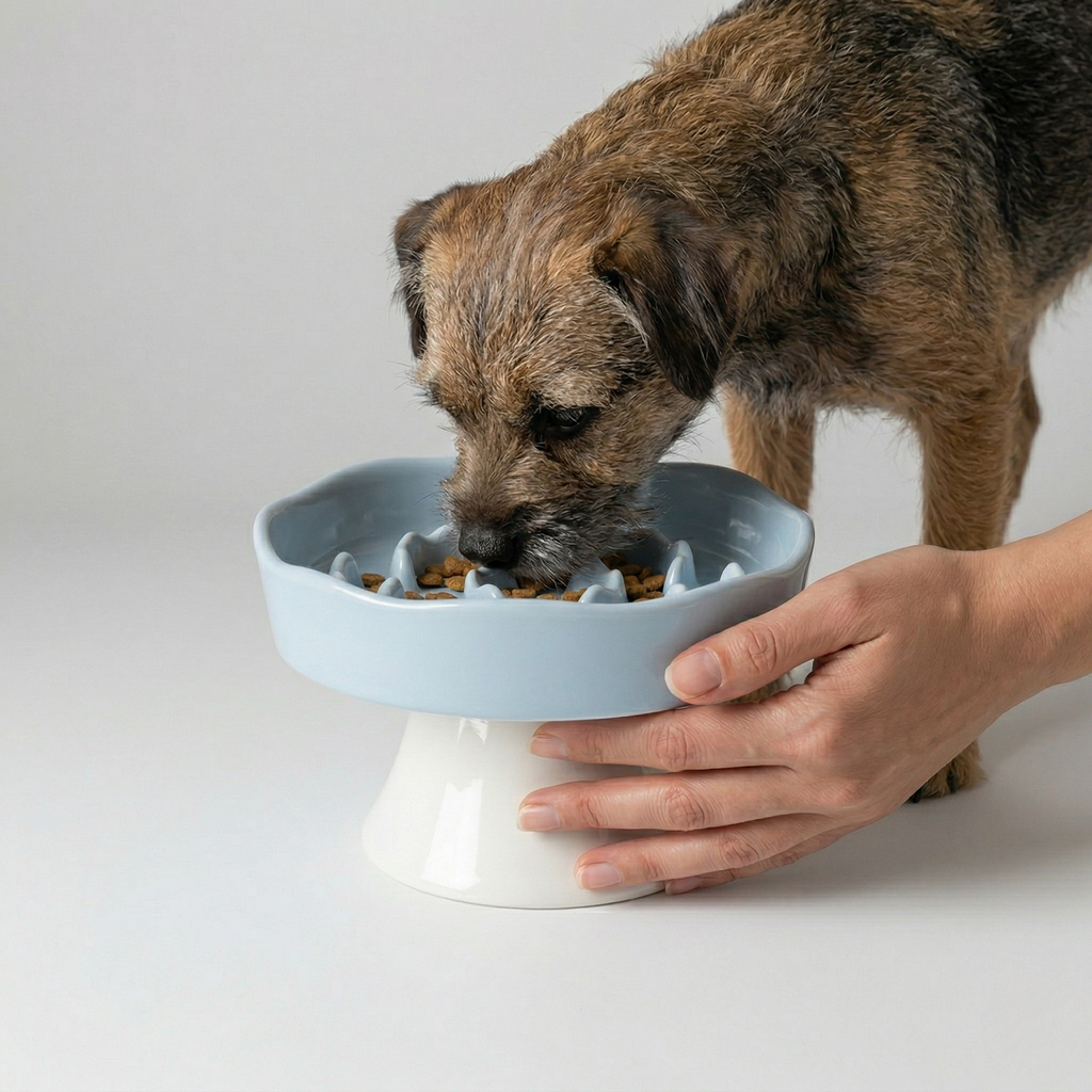 Ceramic Elevated Slow Feeder Bowl