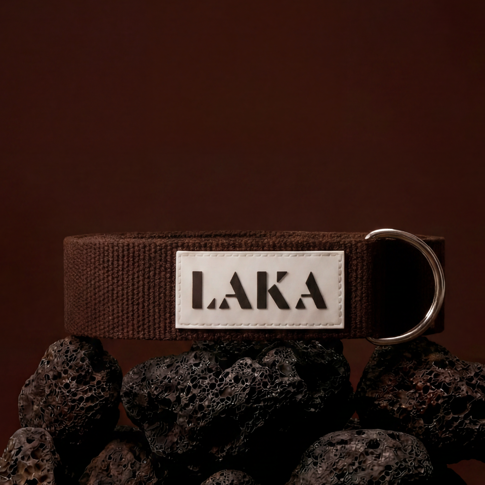 LAKA® Mobility Strap