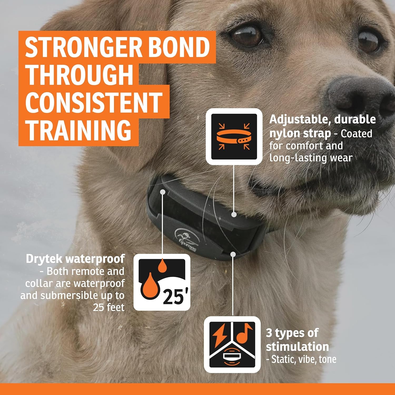 Remote Dog Training Collar Waterproof 500 Yard E Collar for Dogs