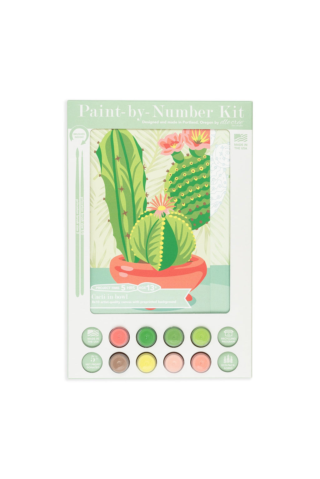 Cacti in Bowl | 8x10 paint-by-number kit