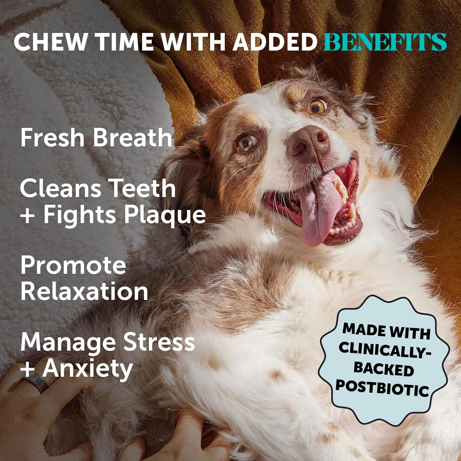 Dog Calming Bundle Hemp Calming Chews & Dental Sticks Anxiety Support