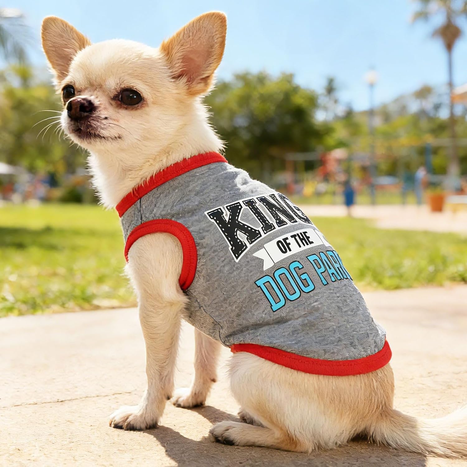 Small Dog Shirts — Cute Puppy Clothes for Chihuahua, Yorkie & Small Breeds | 4-Pack