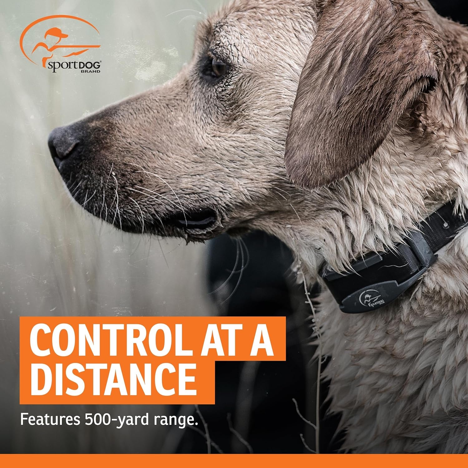 Remote Dog Training Collar Waterproof 500 Yard E Collar for Dogs
