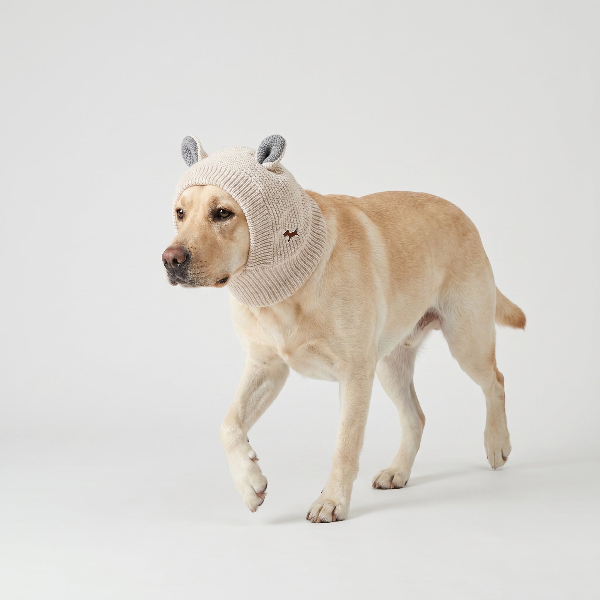 Rabbit Ear Dog Hat