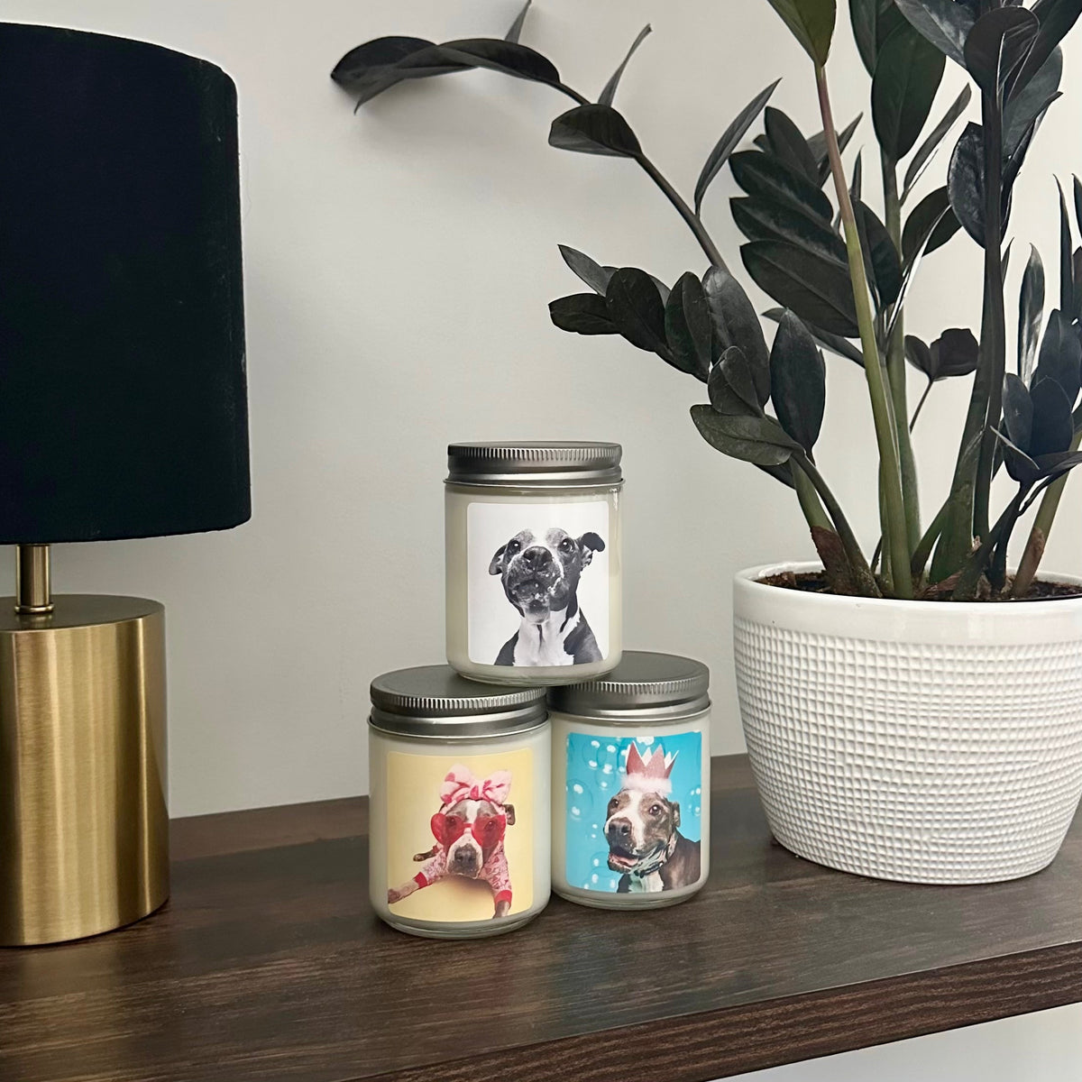 Sheba Candle ~ Hope Animal Rescue