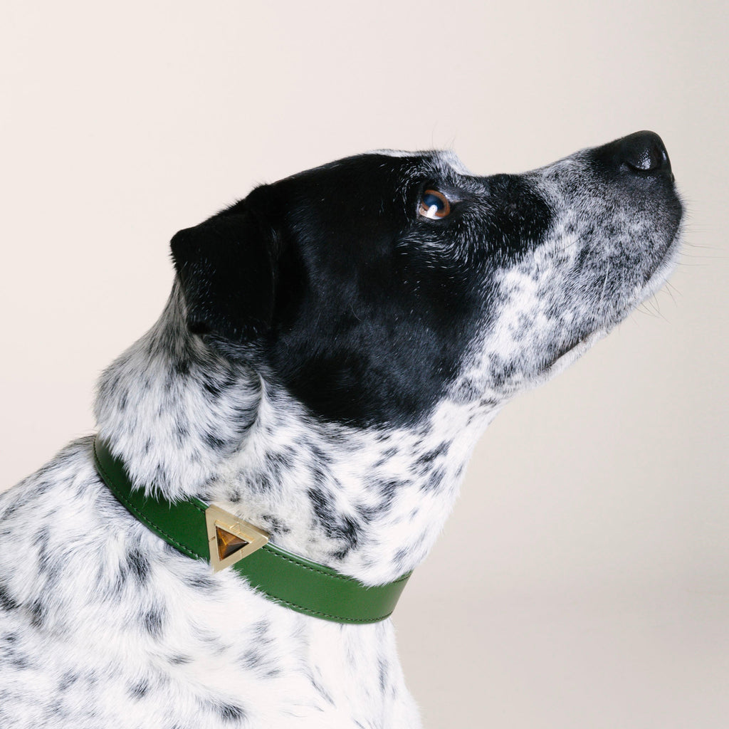 Olive Green Cactus Collar