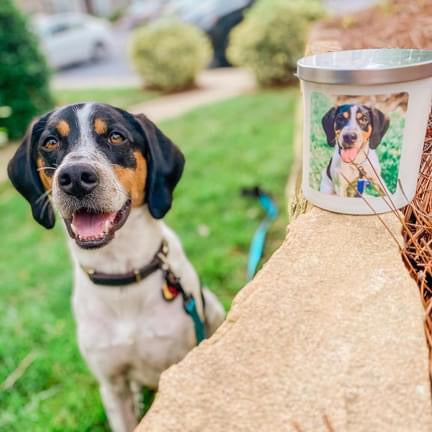 Pet Portrait Candle