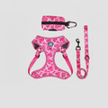 3-Piece Dog Harness & Leash Set