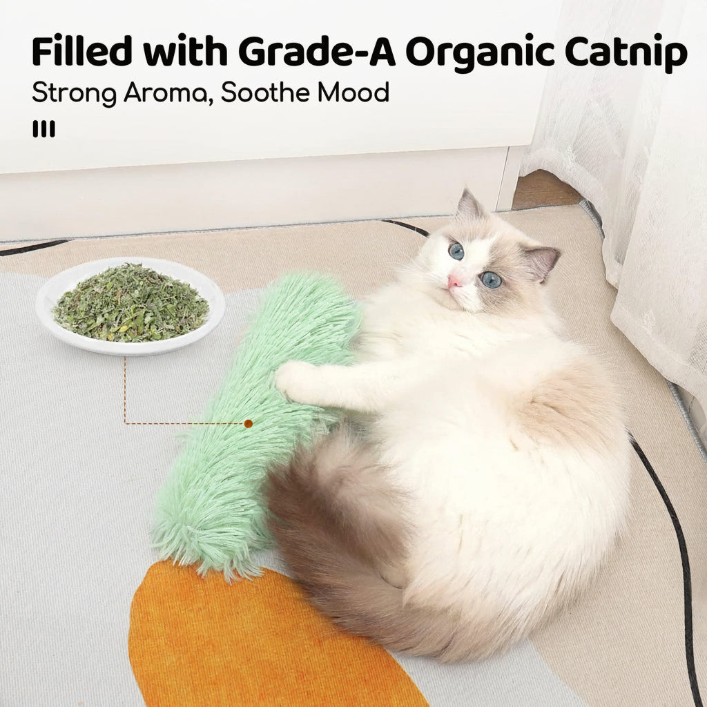 Interactive Catnip Plush Pillow