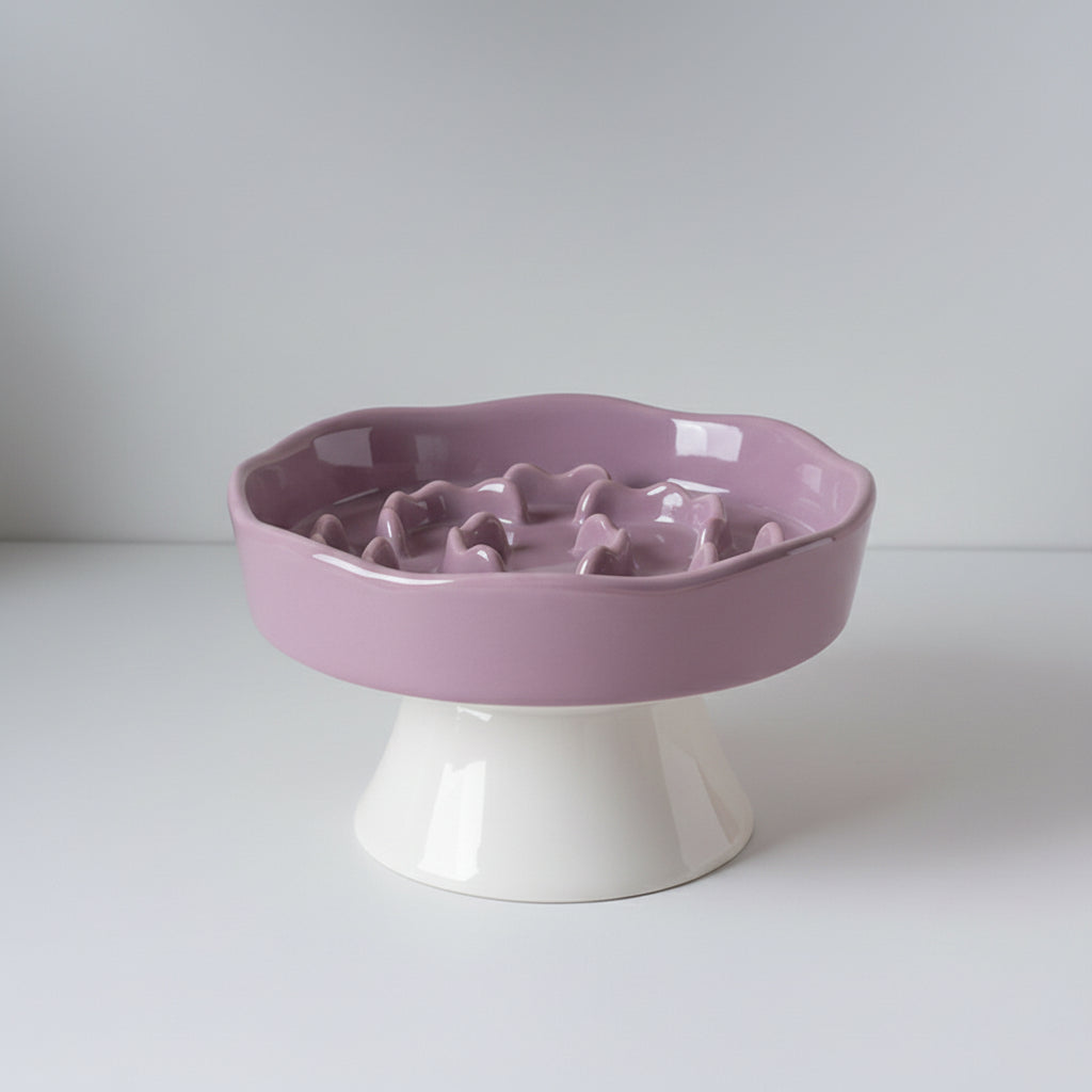 Ceramic Elevated Slow Feeder Bowl