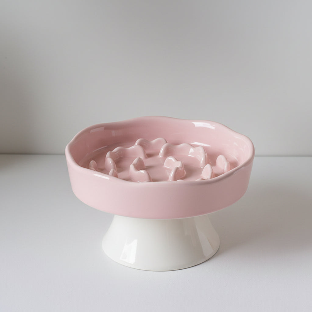Ceramic Elevated Slow Feeder Bowl