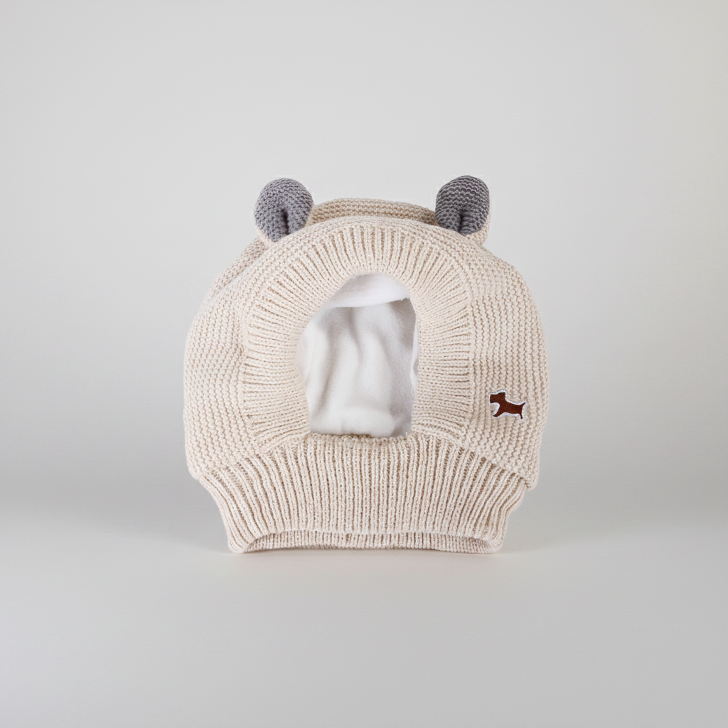 Rabbit Ear Dog Hat