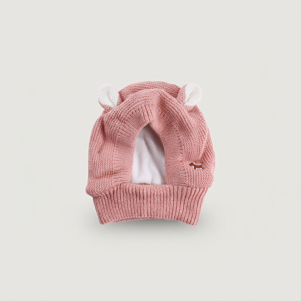 Rabbit Ear Dog Hat