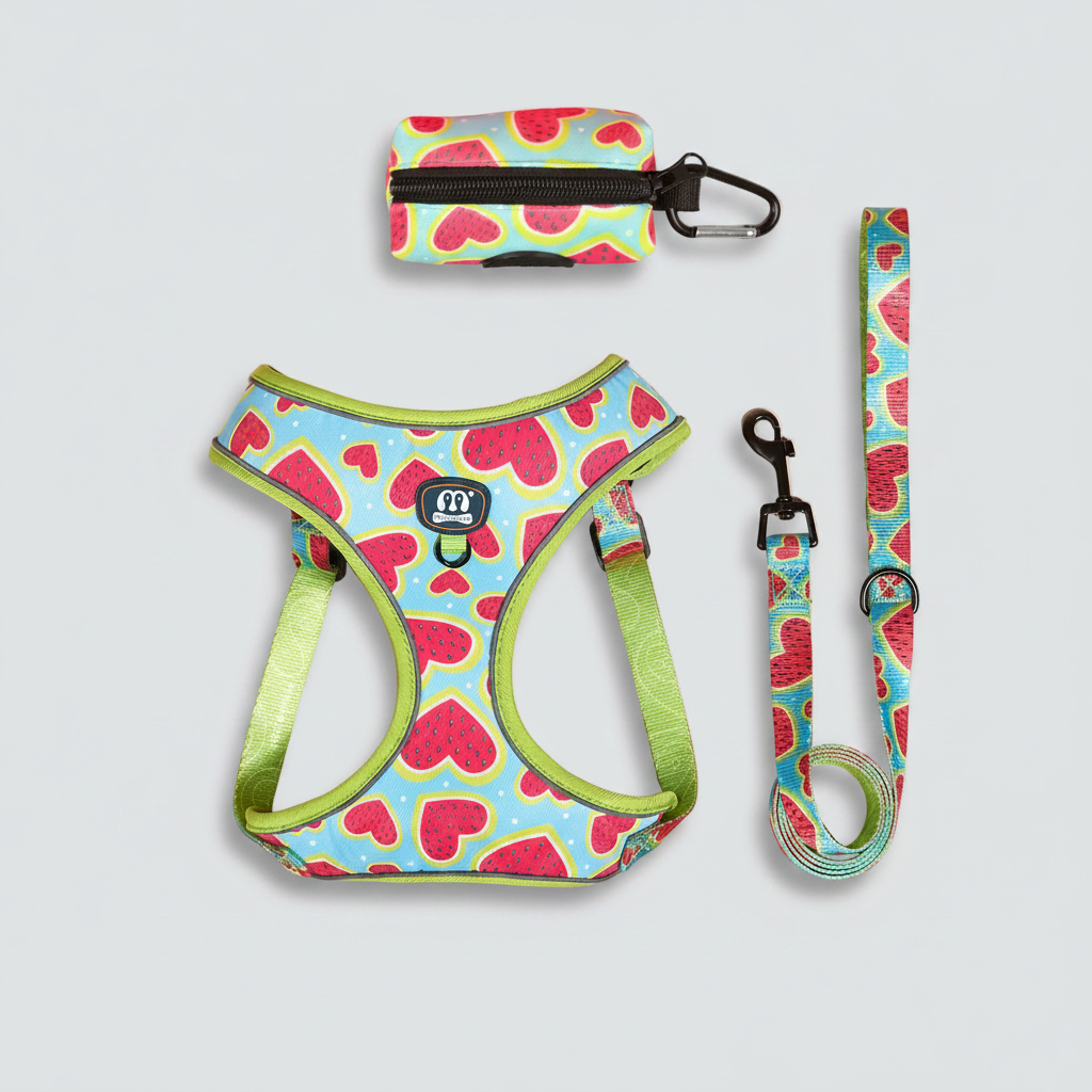 3-Piece Dog Harness & Leash Set