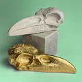 GOTHIC RAVEN SKULL