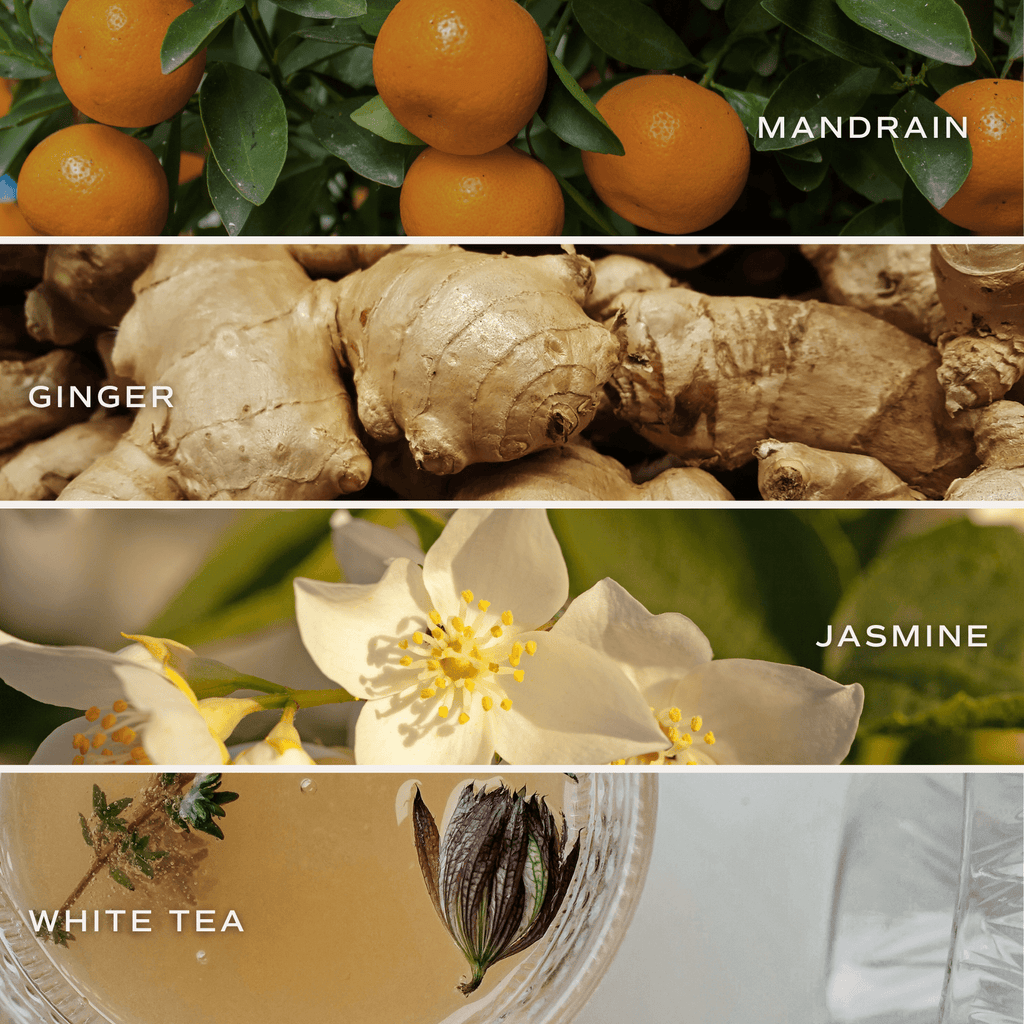 White Tea and Jasmine Soy Candle - White Jar - 11 oz