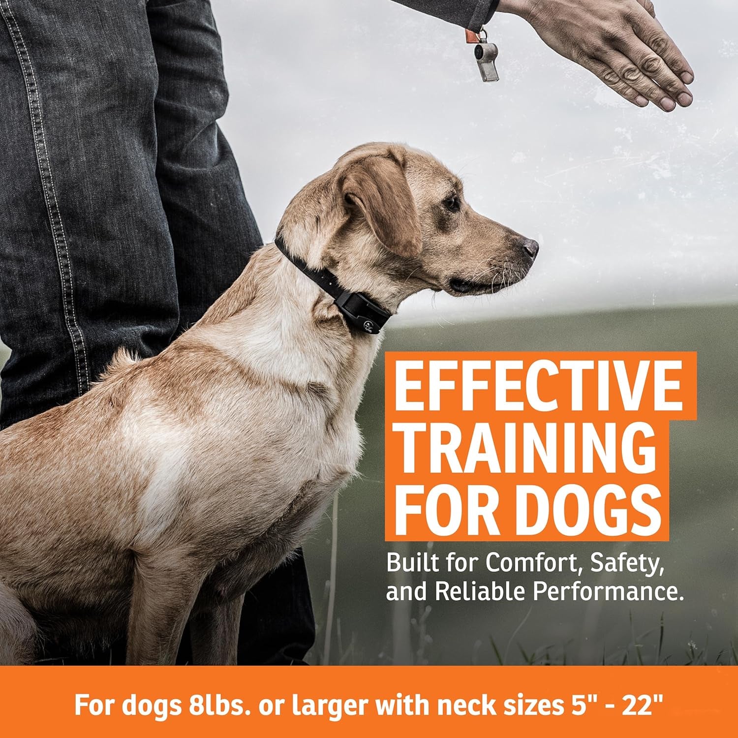 Remote Dog Training Collar Waterproof 500 Yard E Collar for Dogs