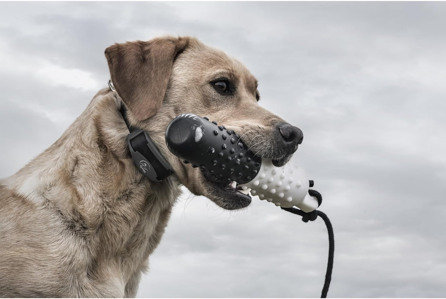 Remote Dog Training Collar Waterproof 500 Yard E Collar for Dogs