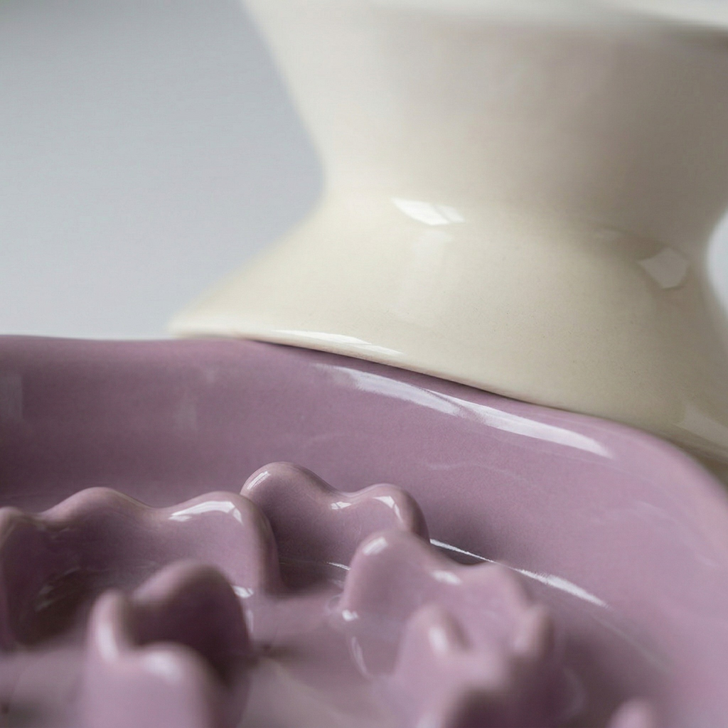 Ceramic Elevated Slow Feeder Bowl