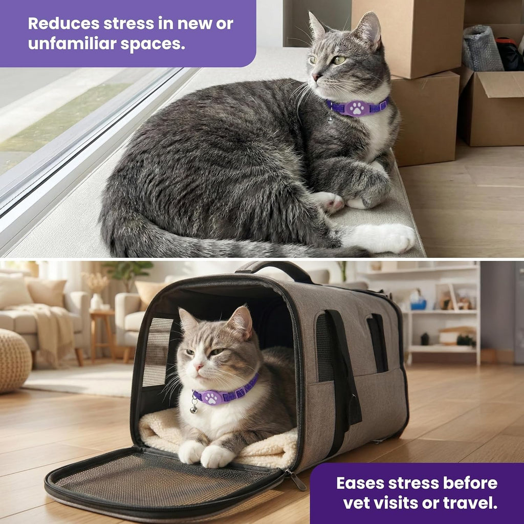 Cat Calming Collar Plus Breakaway Pheromone Collar for Stress Relief