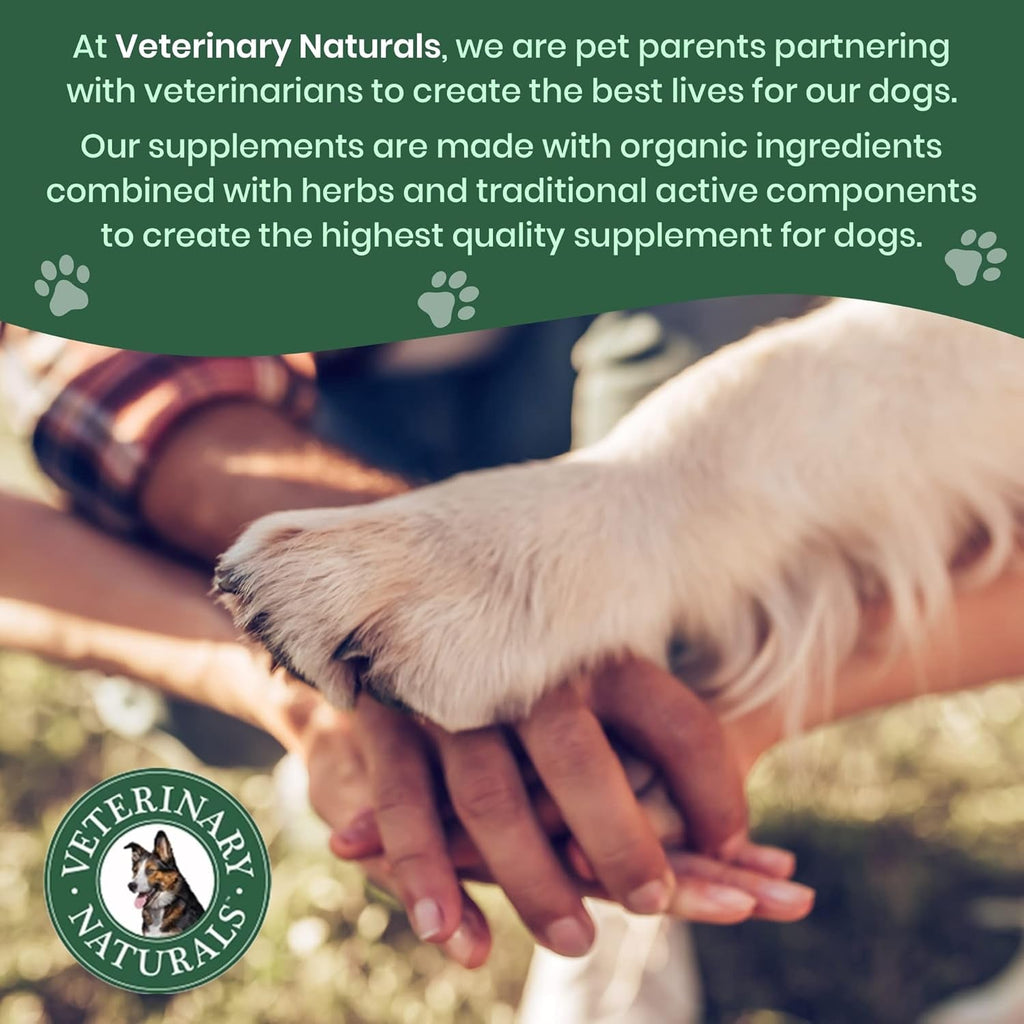 Dog Hip Joint Supplement Hemp Glucosamine Chews Senior Large Breed