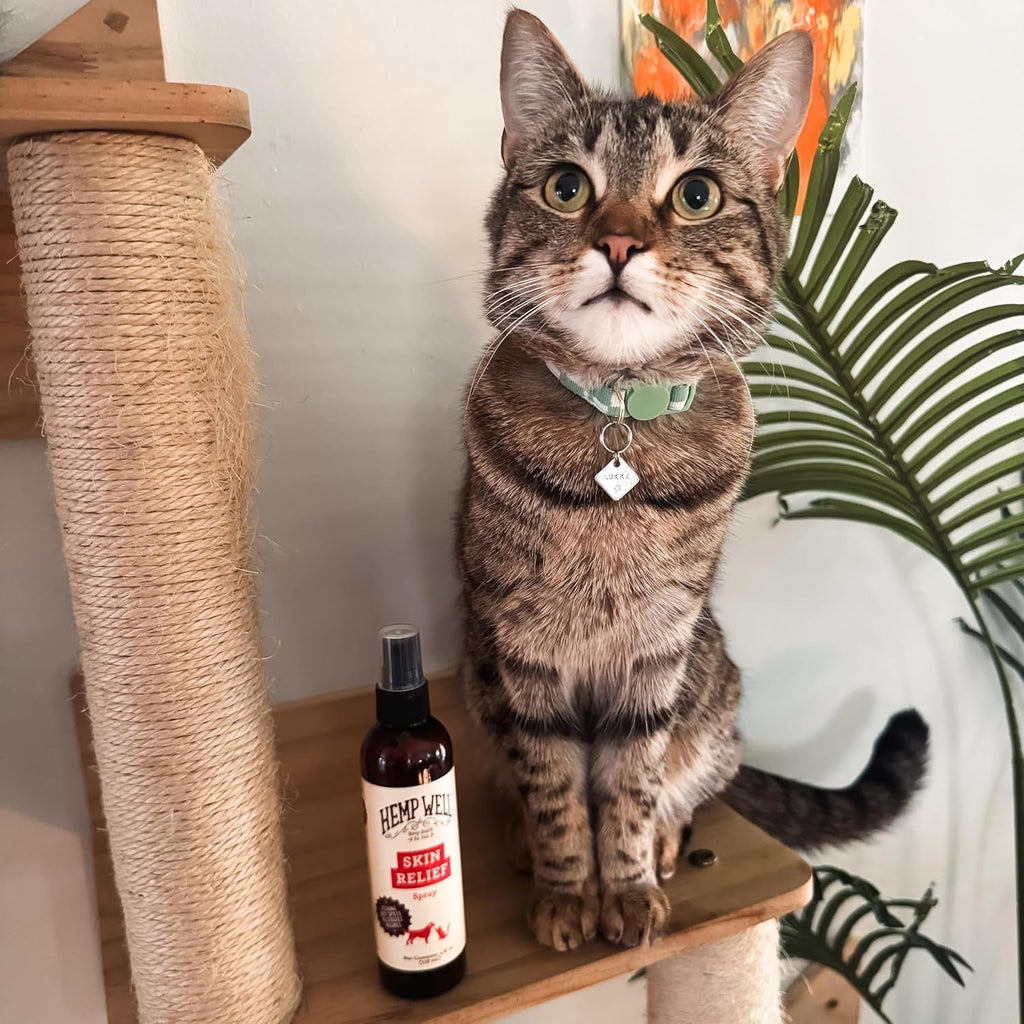 Hemp Itch Relief Spray for Dogs & Cats Skin Soothing Support