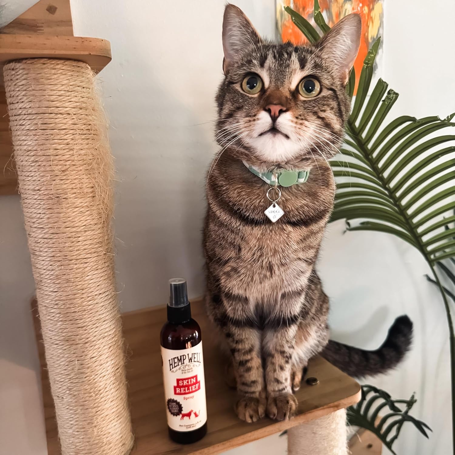 Hemp Itch Relief Spray for Dogs & Cats Skin Soothing Support