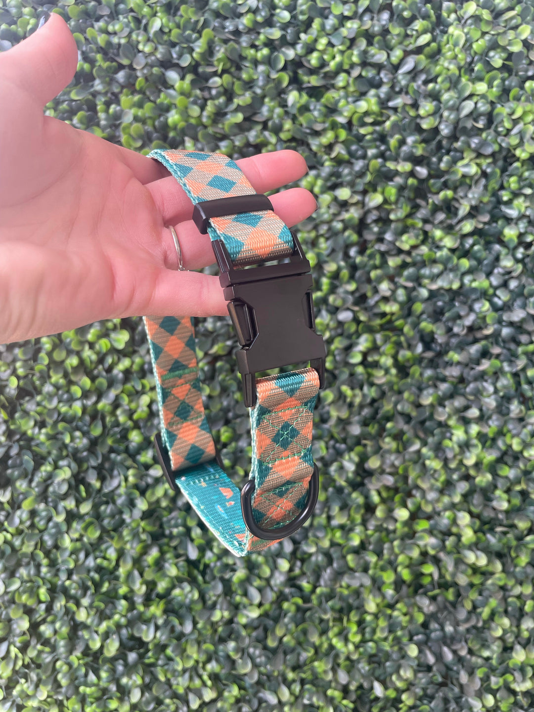 The Modern Dog Company - Plaid Camping Collar