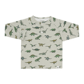 Legendary Raglan Henley