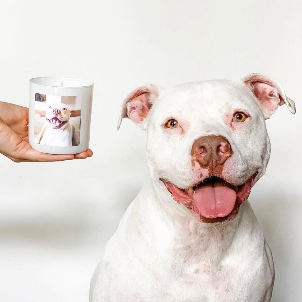 Pet Portrait Candle
