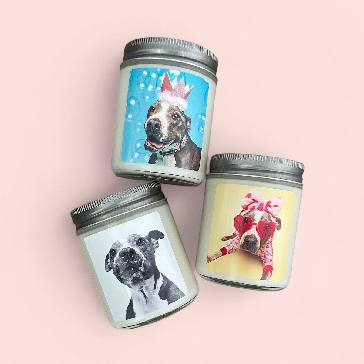 Sheba Candle ~ Hope Animal Rescue