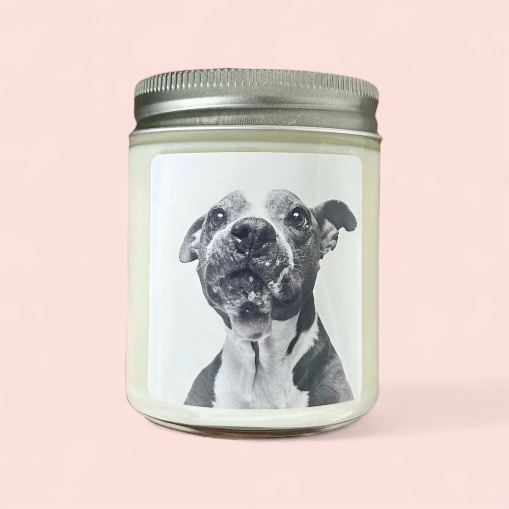 Sheba Candle ~ Hope Animal Rescue