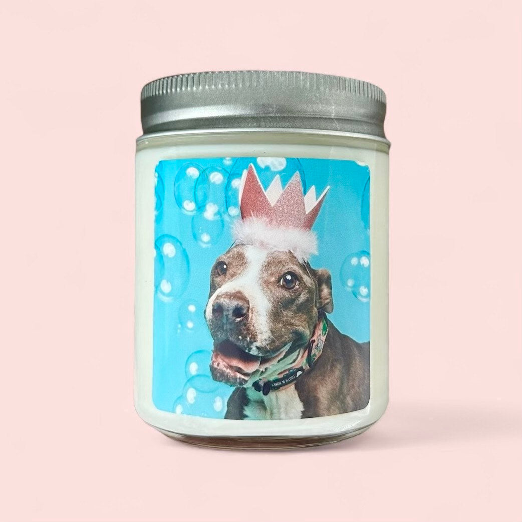 Sheba Candle ~ Hope Animal Rescue